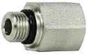 O-Ring To Female Pipe Adapter