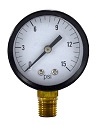 2" Standard Dry Gauge with 1/4